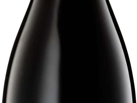 Yalumba Shiraz Viognier The Y Series 2019 on Sale