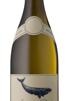 Southern Right Sauvignon Blanc 2020 Online now