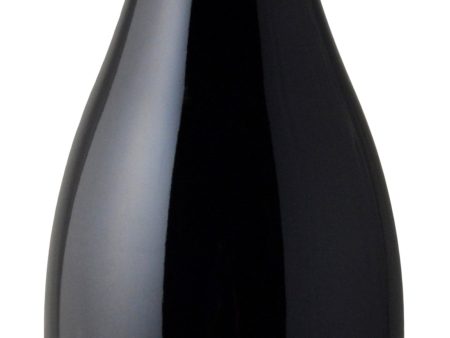 Willamette Valley Vineyards Pinot Noir Whole Cluster 2019 For Discount