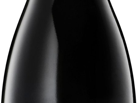 Wirra Wirra Shiraz Catapult 2017 on Sale