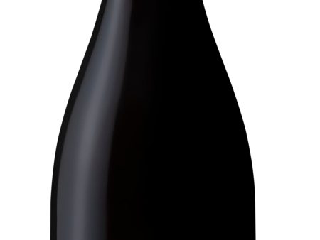 Sokol-Blosser Pinot Noir Dundee Hills 2018 Cheap