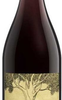 The Dreaming Tree Pinot Noir 2019 Fashion