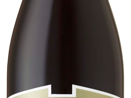 William Hill Pinot Noir Central Coast 2017 Cheap