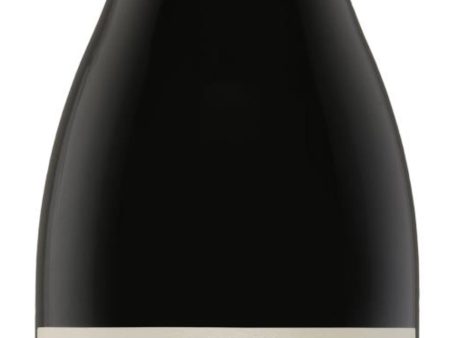 Painted Wolf Pinotage The Den 2019 Hot on Sale