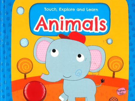 Sassi  Touch, Explore And Learn Animals  Book Fashion